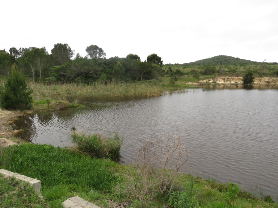 3 Bedroom Property for Sale in Bathurst Eastern Cape